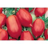 Даліда насіння томату дет. (SX)