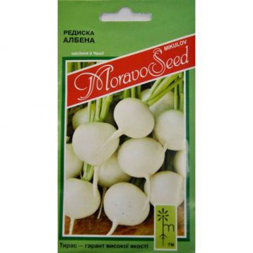Албена семена редиса (Moravoseed)