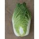 Микадо F1 семена капусты пекинской ранней 50-60 дн. 2-2,5 кг (Satimex СДБ)
