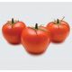 Калифорния (INX 1624 F1) семена томата дет. (Innova Seeds)