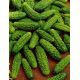 Парижсьий корнишон насіння огірка бджолоопилюваного (Rem seeds)
