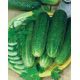 Парижсьий корнишон насіння огірка бджолоопилюваного (Rem seeds)