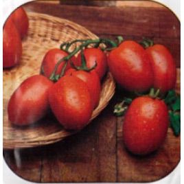 Рио гранде семена томата дет (Rem seeds)