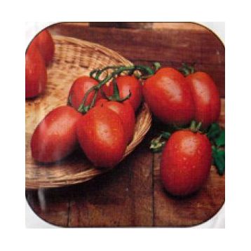 Рио гранде семена томата дет. (Rem seeds)