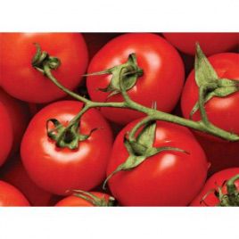 Португальский F1 семена томата индет. (United Genetics)