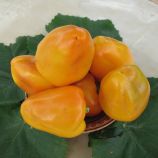 Перец Богдан