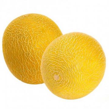 насіння дині Колгоспниця (GL Seeds)