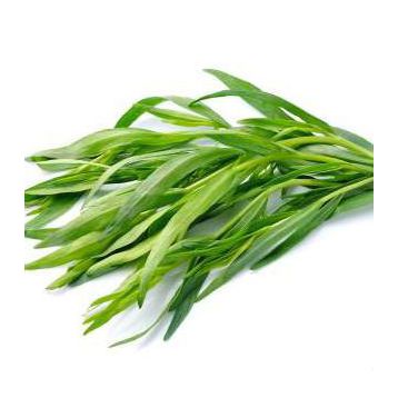Байкал семена тархуна (GL Seeds)