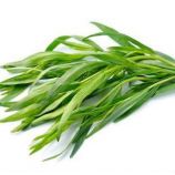Байкал семена тархуна (GL Seeds)