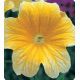 Либра Yellow семена сальпиглоссиса дражированные (Kitano Seeds)