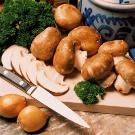 Шампіньйон королівський міцелій зерновий (Україна)