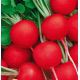 Родос семена редиса 18-25 дн. (Satimex)