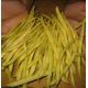 Золотая звезда семена фасоли спаржевой (GL Seeds)