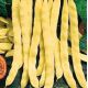Марвел ди Венеция семена фасоли спаржевой (GL Seeds)