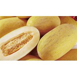 Торпедо семена дыни (GL Seeds)