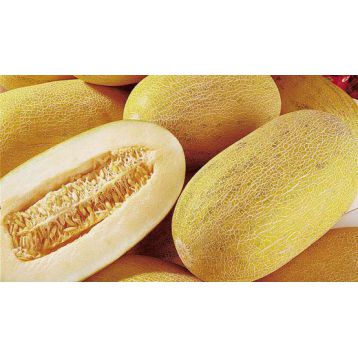 Торпедо семена дыни (GL Seeds)