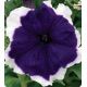 Петуния Серенада Blue (синяя) 