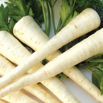 Халбландж семена петрушки корневой (Hortus)