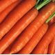 Берликум семена моркови (Euroseed)