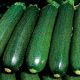 Темно-зелений Грін насіння кабачка (Hortus)