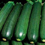Темно-зелений Грін насіння кабачка (Hortus)