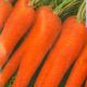 Флакко семена моркови Флакке (Euroseed)