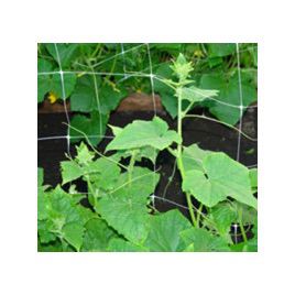 Сетка шпалерная 1,7х3,5 метров (ДСГ)