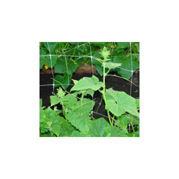 Сетка шпалерная 1,7х3,5 метров (ДСГ)