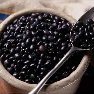 Бобы черные семена (GL Seeds)