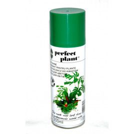 Блеск для комнатных растений (ДСГ)