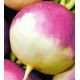 Шведська насіння брукви (GL Seeds)