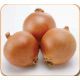 Муза F1 семена лука репчатого раннего 100-105 дн. (Cora Seeds)