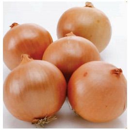 Фундадор F1 семена лука репчатого среднего 110-115 дн. (Cora Seeds)