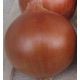 Ламика F1 семена лука репчатого позднего 120-125 дн. длинн. дня (Cora Seeds)