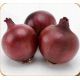 Фиама F1 семена лука репчатого среднего 118-122 дн. (Cora Seeds)