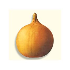 Аренал F1 семена лука репчатго позднего 130-140 дн. длинн. дня (Advanta)