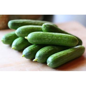 Супер Бейби F1 семена огруца партен. раннего (Yuksel)