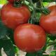 Дар Заволжья семена томата дет. (GL Seeds)