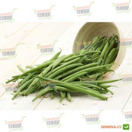 Бови семена фасоли спаржевой 56 дн. (Clause)