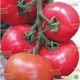 Касамори F1 семена томата индет. розового (Kitano Seeds) 