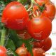 Хитомакс F1 семена томата индет. (Kitano Seeds)