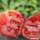 Хитомакс F1 семена томата индет. (Kitano Seeds)