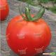 Хитомакс F1 семена томата индет. (Kitano Seeds)