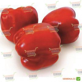 KS 04 F1 семена перца сладкого (Kitano Seeds)
