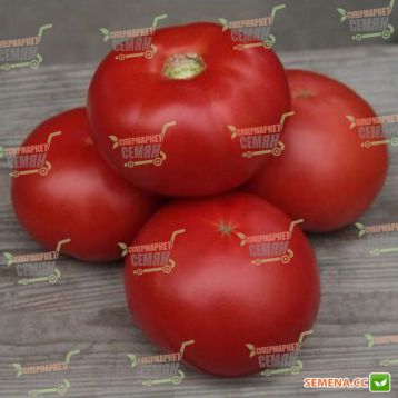 KS 222 F1 (КИБО F1) семена томата индет. розового (Kitano Seeds)