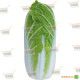 KS 374 F1 семена капусты пекинской (Kitano Seeds)