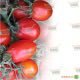 KS 720 F1 семена томата дет. (Kitano Seeds)