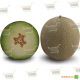KS 7044 F1 семена дыни тип Japanese (Kitano Seeds)