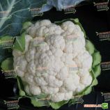 Мисора F1 (KS 22 F1) cемена капусты цветной (Kitano Seeds)