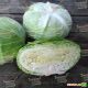 Наоми F1 семена капусты б/к средней 80-85 дн. 2,5-3,5 кг окр.-прип. (Kitano Seeds)